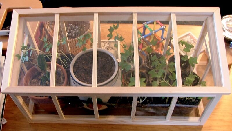 10 idées pour fabriquer sa mini serre de jardin